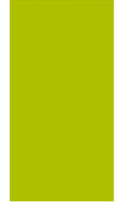 Олива глянец